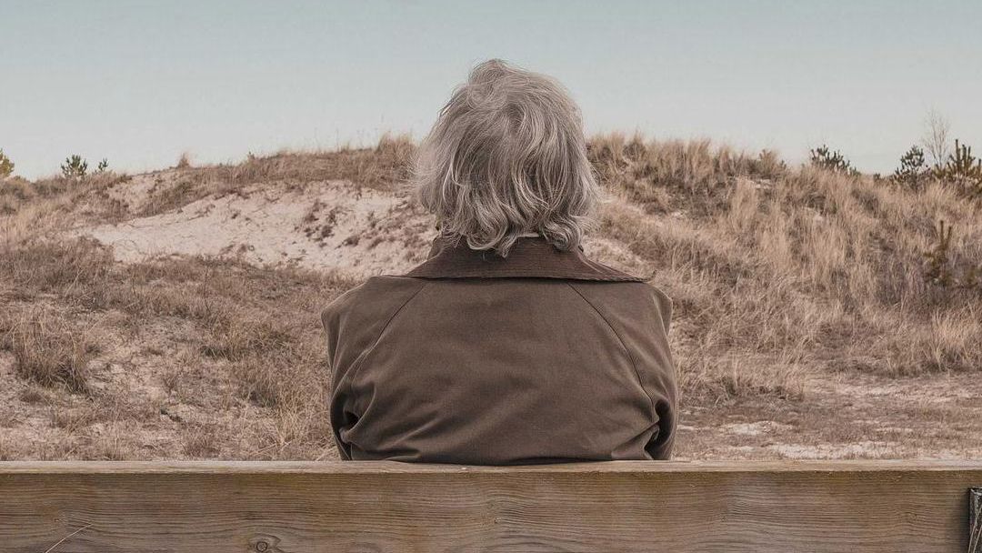 A person sitting on a wooden bench, facing the dunes