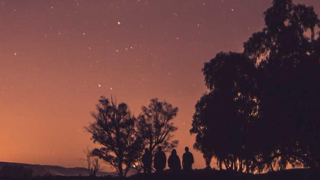 Cuatro personas de pie bajo unos árboles al anochecer, mirando un cielo lleno de estrellas