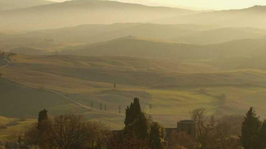 Rolling hills in early morning haze