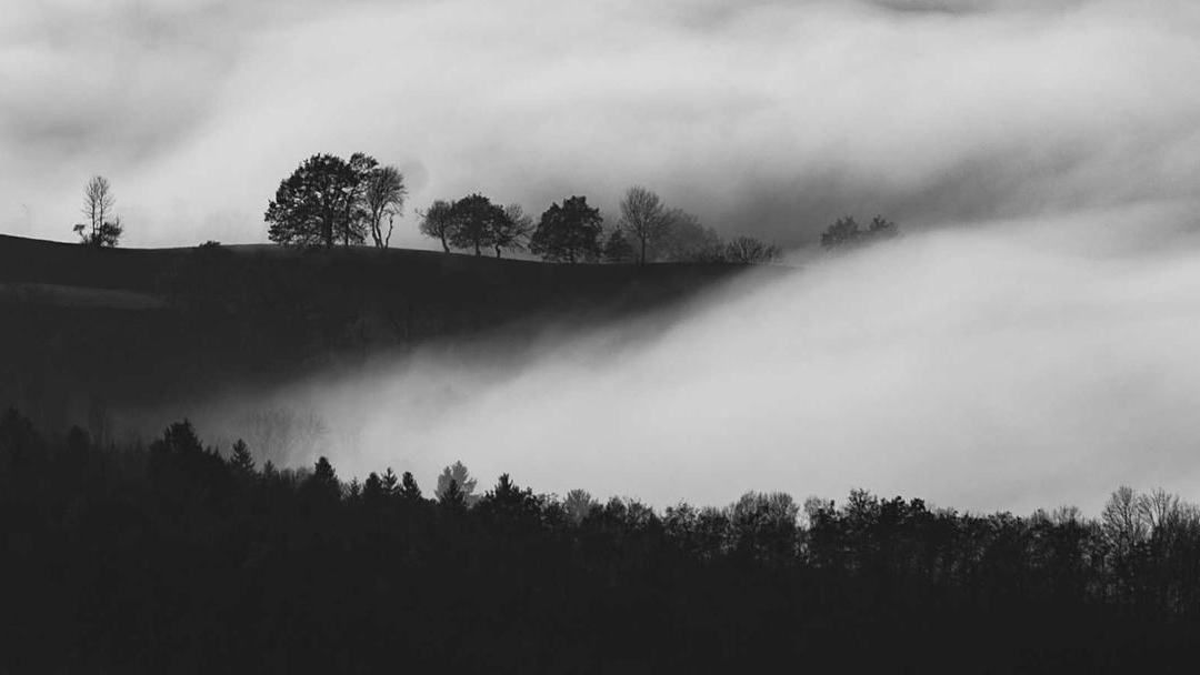 Fog rolling over a dark hillside with a line of trees
